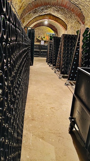 cave à champagne